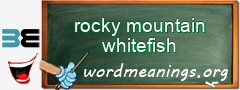 WordMeaning blackboard for rocky mountain whitefish